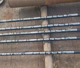 ASTM A335 P22 Seamless Alloy Steel Pipe
